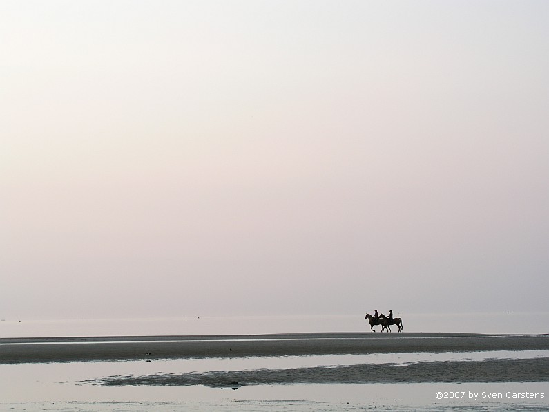 Nordseestrand in Zeeland (Holland)