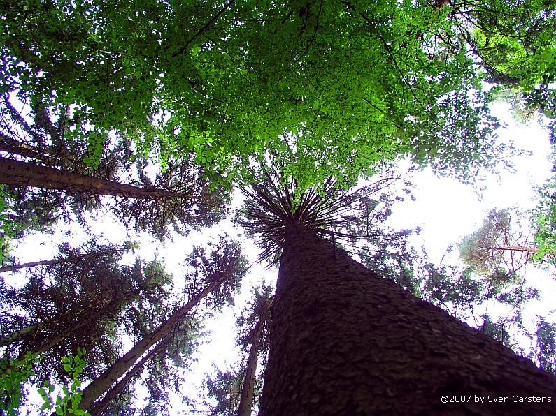 Mal eine andere Ansicht